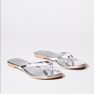 ✨✨NWT✨✨silver Loft sandals